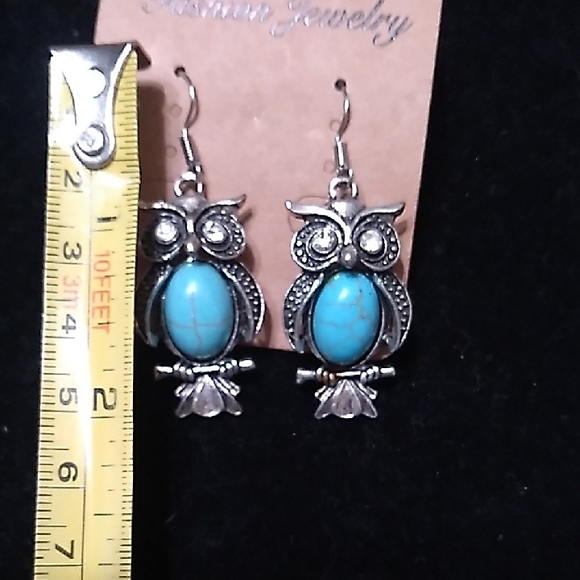 Silver and Turquoise Owl Earrings - Picture 3 of 3